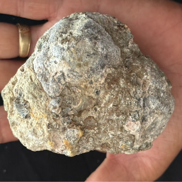 Natural Large Unsliced Crystal Geode - Picture 2 of 4